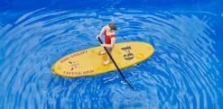 Bruder Bworld Set Life Guard Mit Stand Up Paddle -Spielzeugautos Verkauf 20312583 04